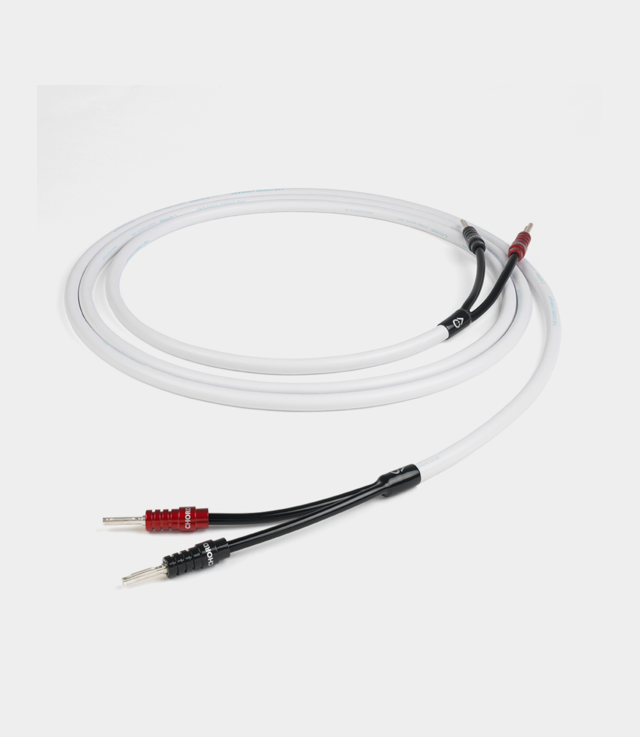 chordco-c-screen-spkr(1)
